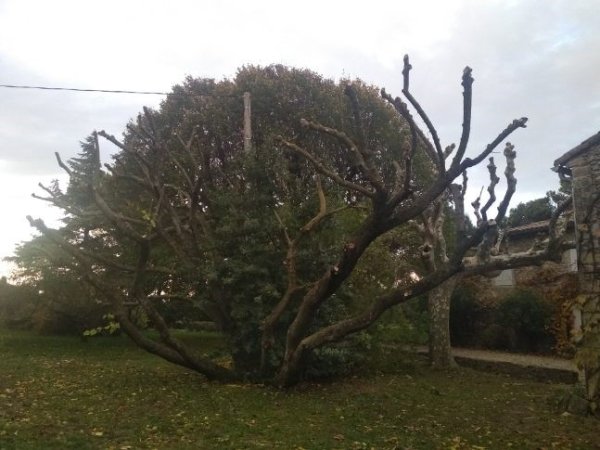 Chantier baudet   photo 9