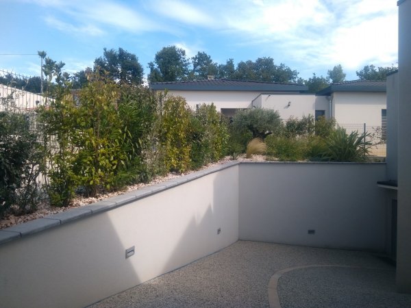 Img_20170726_165050 (1)